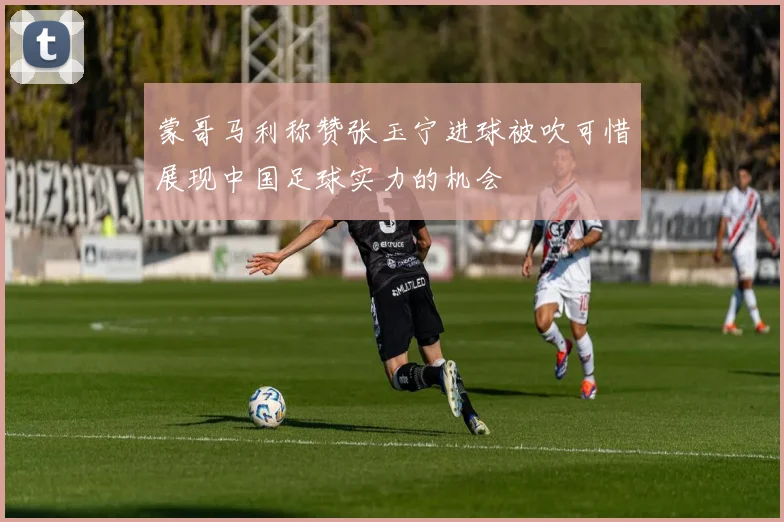 蒙哥马利称赞张玉宁进球被吹可惜展现中国足球实力的机会